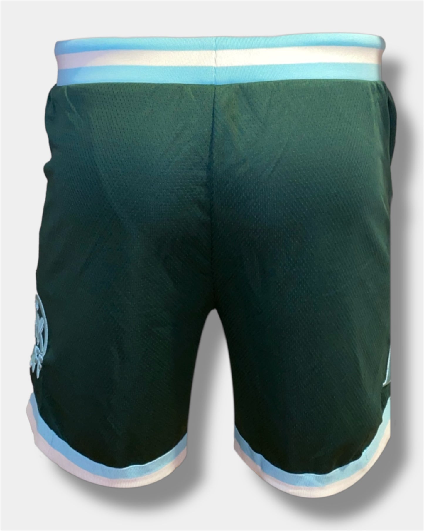 Summer Of Champions Basketball Shorts Green
